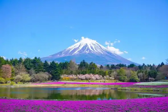 Best Time to Visit Japan: A Month-by-Month Guide to Every Season